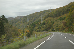 {Ђ̑݃RT^g